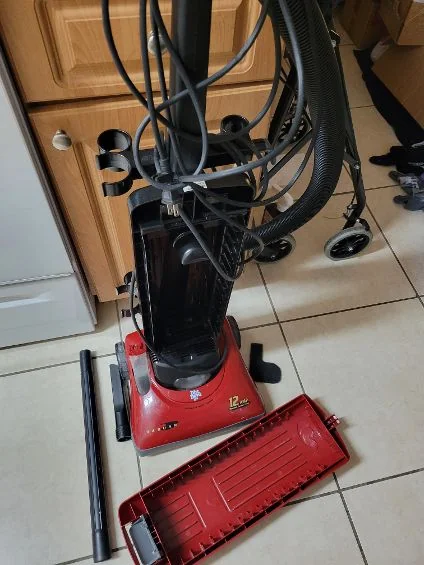 Does Lysol Effectively Kill Mold Spores?