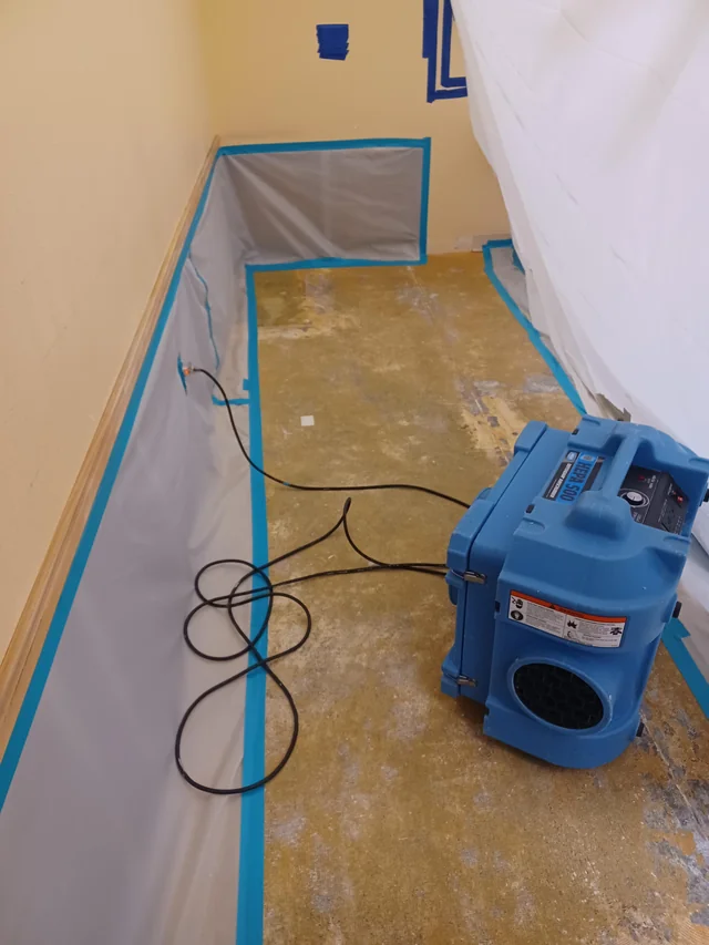 The Professional Mold Remediation Process