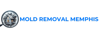 Mold In Garage: Causes, Removal And Prevention Tips
