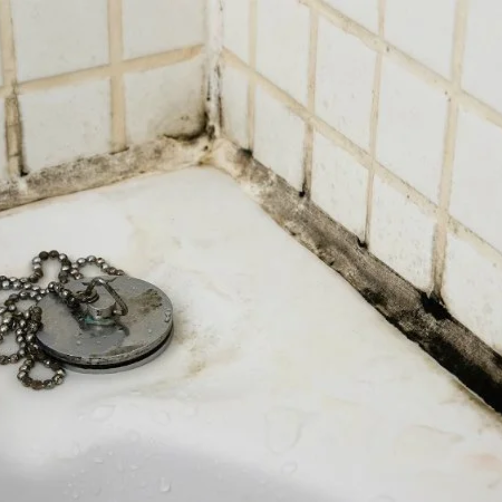 White bathroom tiles with black mold growth along edges and grout lines, featuring a metal drain cover on a chain resting on a white surface