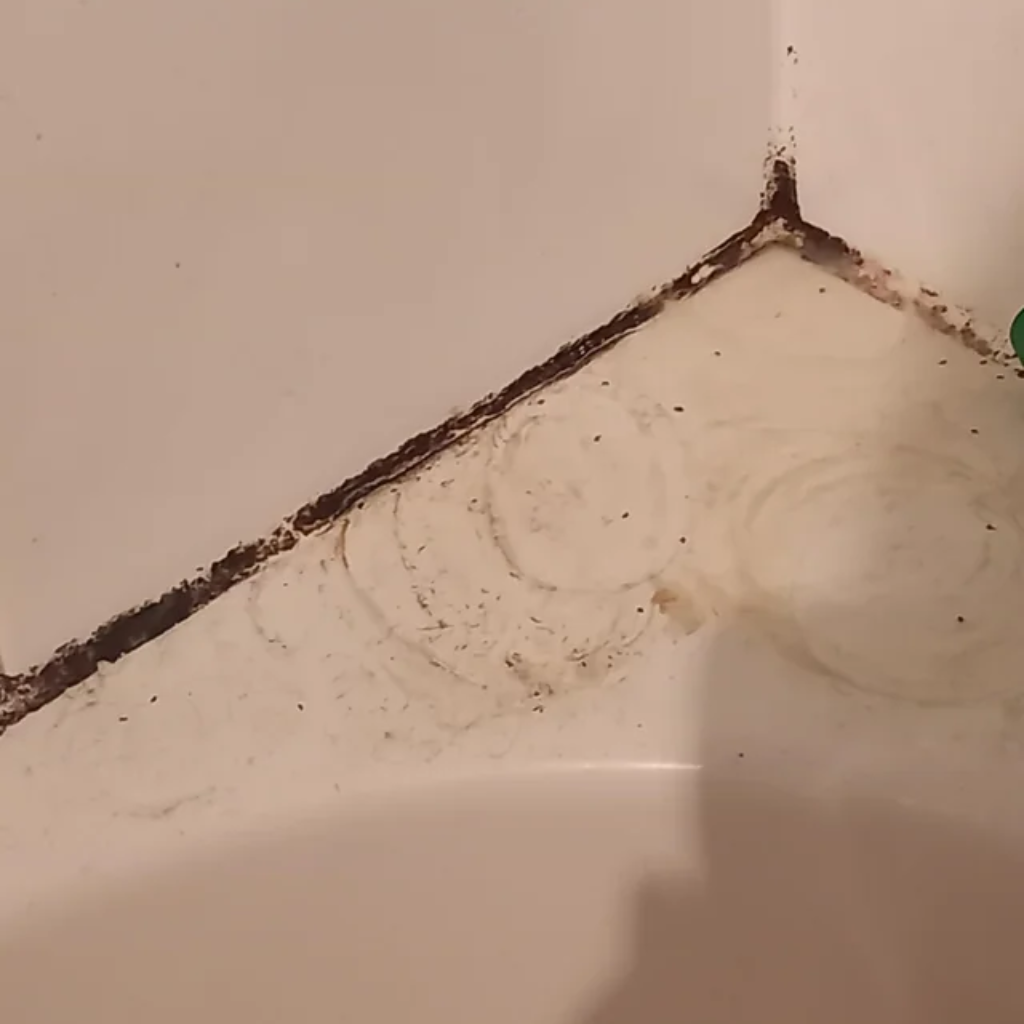 A bathroom corner showing signs of black mold growth along the caulking and edges, with a focus on the crevice where moisture has accumulated on white ceramic surfaces