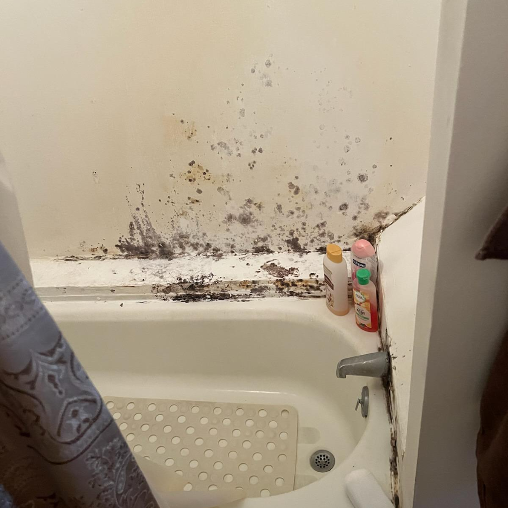 Bathroom corner with a bathtub showing significant black mold growth on the walls and caulk, accompanied by various bath products and a non-slip mat inside the tub