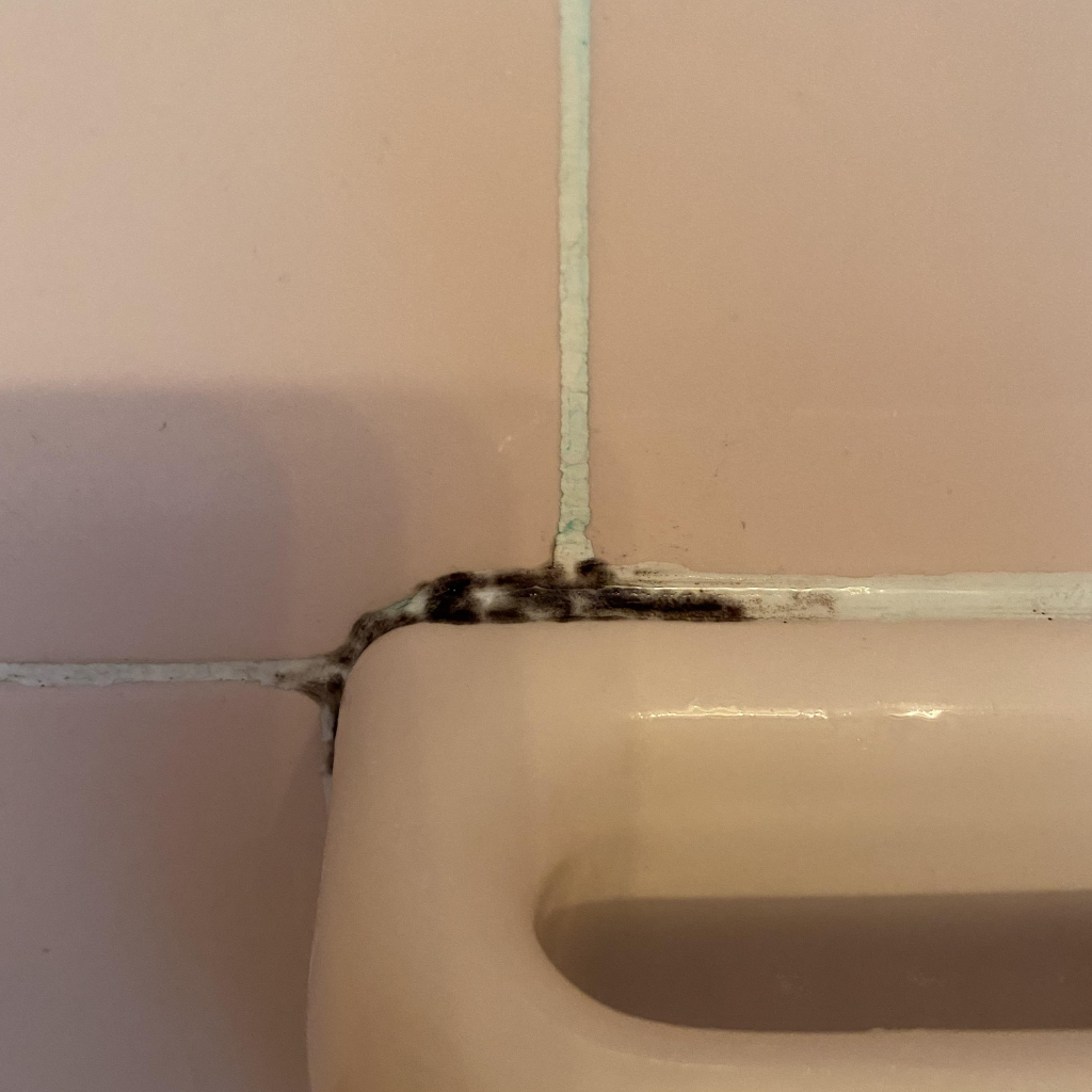 Close-up view of a bathroom corner with black mold growth on caulking between beige wall tiles and a white bathroom fixture