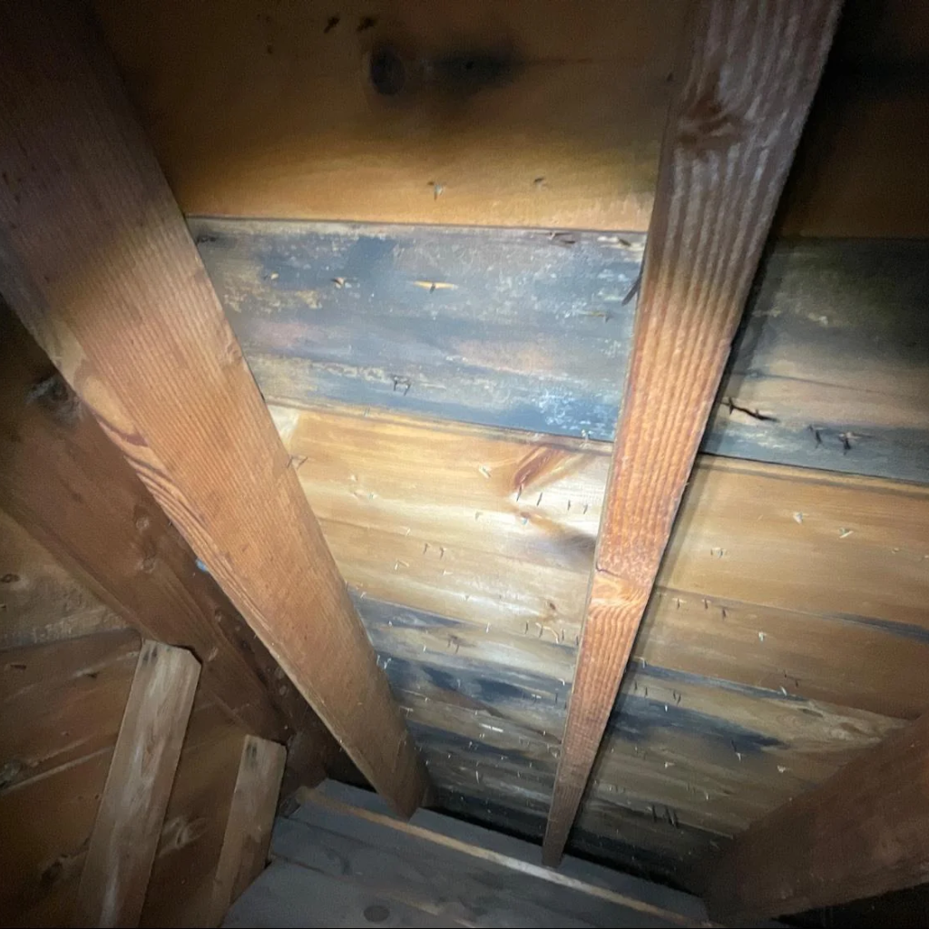 Crawl space with visible mold growth on wooden surfaces, showing dark patches and streaks indicative of moisture damage