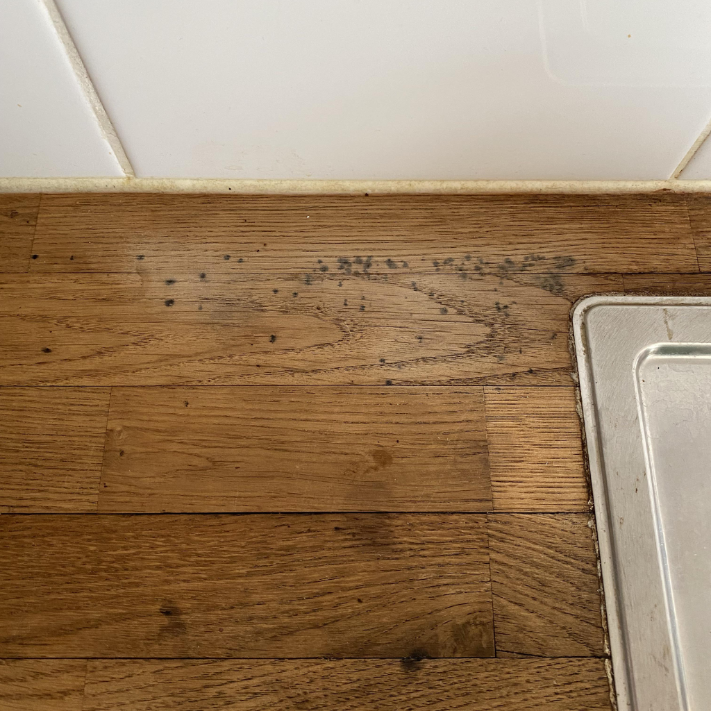 Image showing a section of a kitchen with wooden flooring that has mold growth along the edge where it meets the white wall trim, indicating a need for mold removal