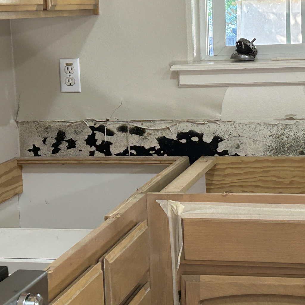 Image of a kitchen corner showing signs of mold growth on the wall near the countertop, with cabinet doors removed, exposing the interior structure