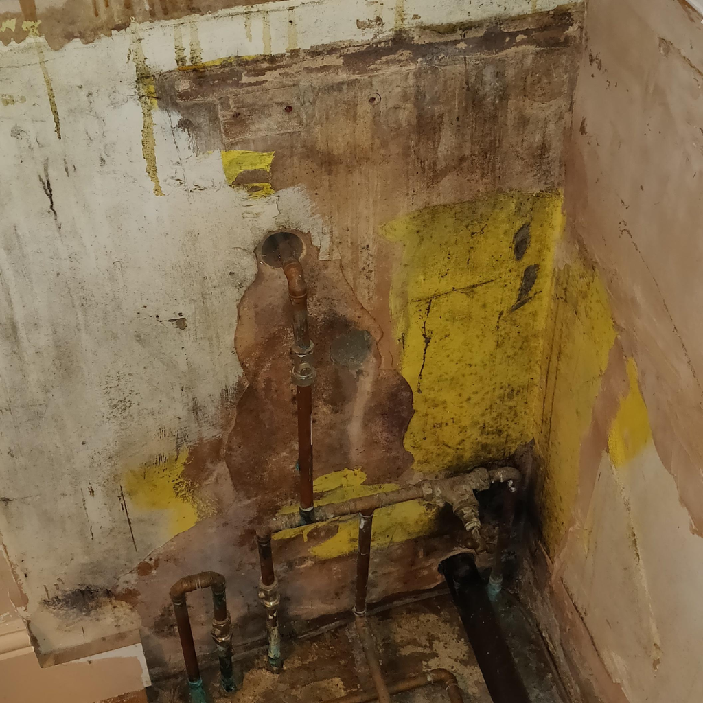 Image of a kitchen wall with visible mold damage around plumbing pipes, indicating areas in need of mold remediation