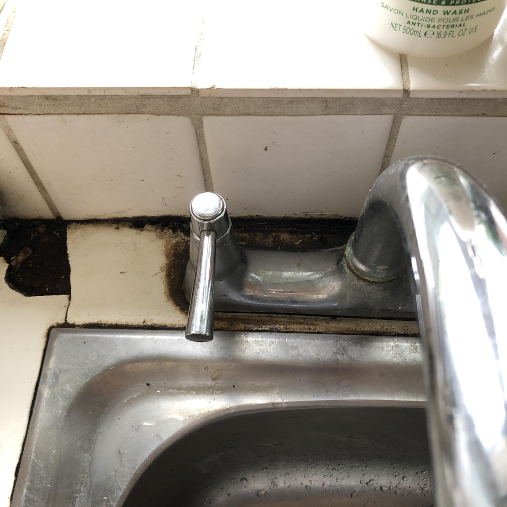 Image of a kitchen sink with visible mold growth around the edges and sealant, indicating areas in need of mold remediation